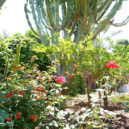 Floriana * טראביה